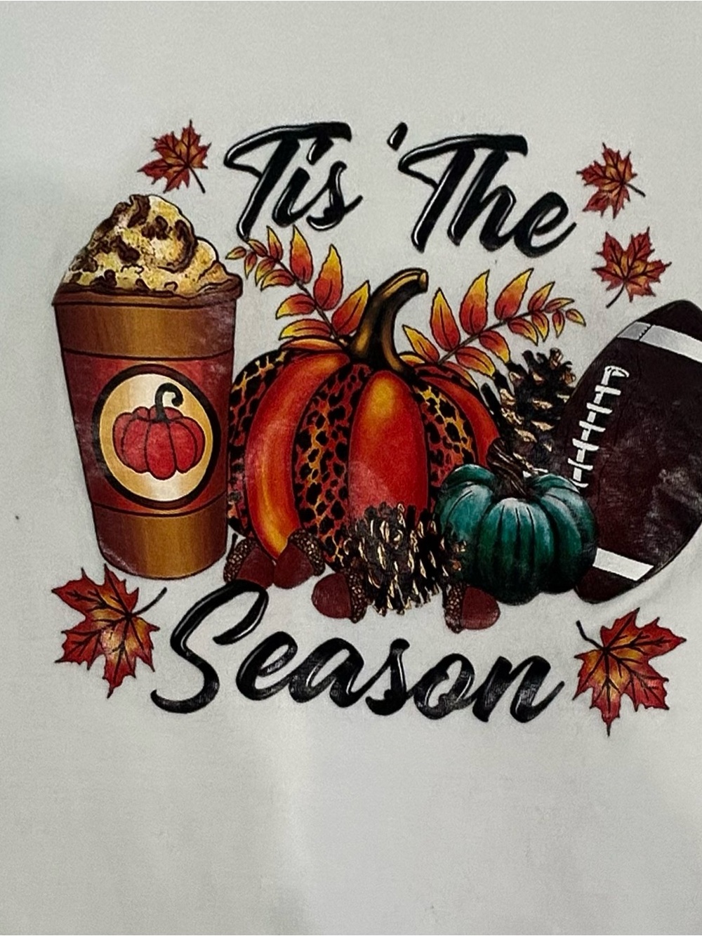 Tis The Season Fall Graphic Tee - White